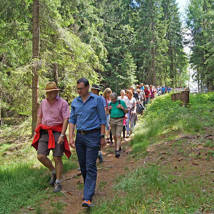 Bürgerwanderung 2017 - In den Bischofsreuther Waldhufen