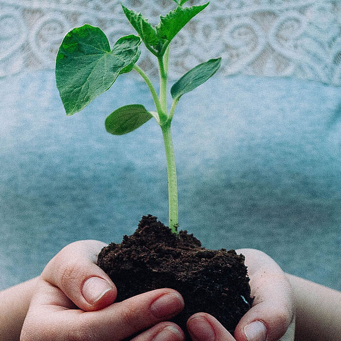 Klimaschutzmanagement - Projekte des Landkreises zur CO2-Einsparung