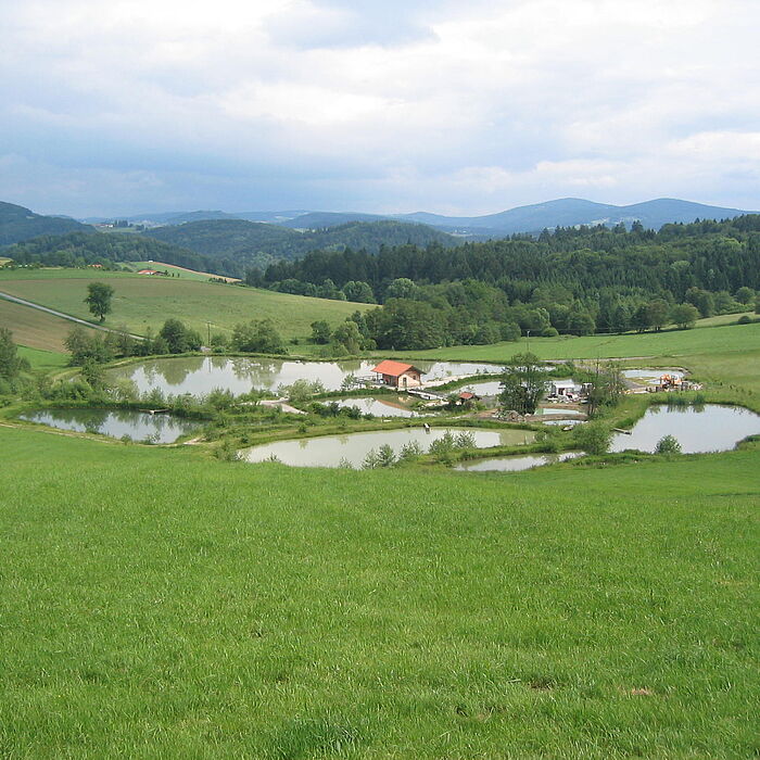 Teichanlagen - Fischteichanlagen - Landschaftsweiher 