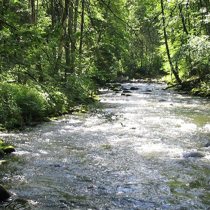 Wasser - Schutz des Grundwassers und der Oberflächengewässer